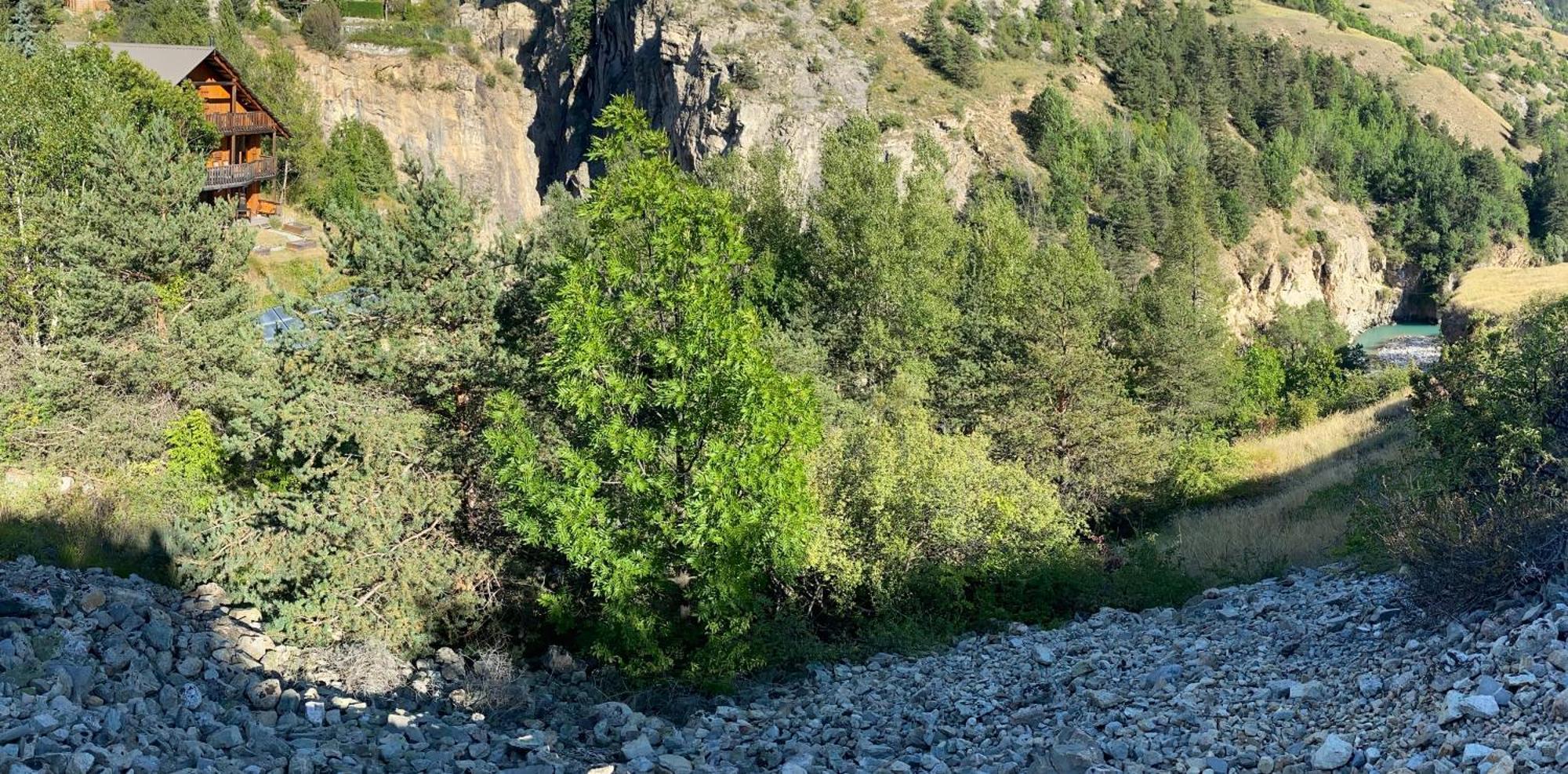 A Un Endroit Exceptionnel, Alpes, Parc National Des Ecrins *